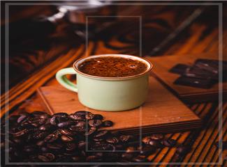 مهمانپذیر قلعه تالش
