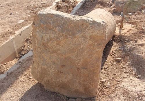 سفیر گردش