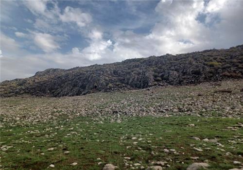 سفیر گردش