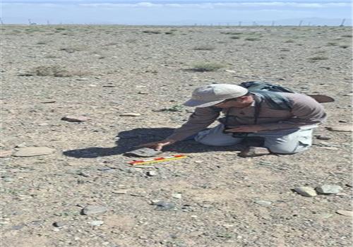 سفیر گردش