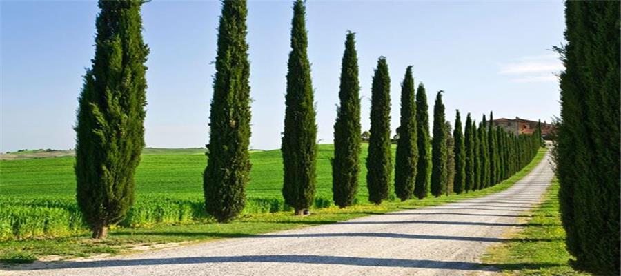 بیانیه مشترک وزرای امور خارجه فرانسه، آلمان و بریتانیا