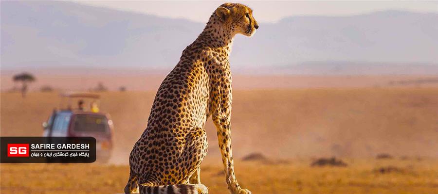 قدرت سرمایه گذاری برای گردشگری آفریقا