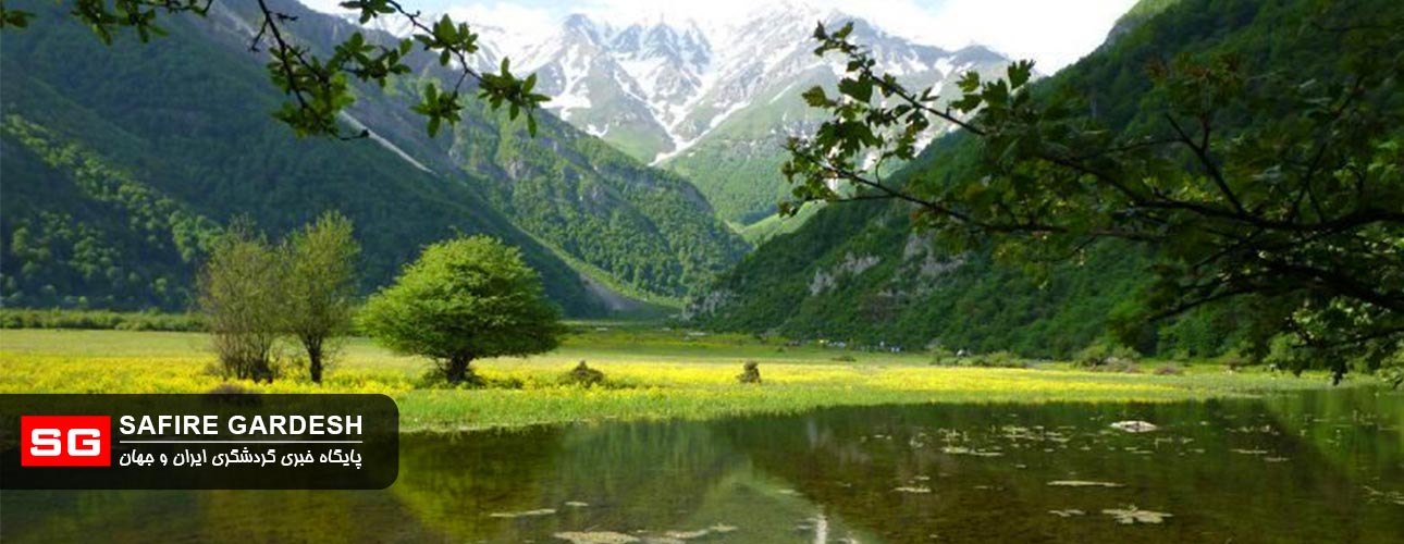 جنگلهای دوهزار جنگلهای دوهزار